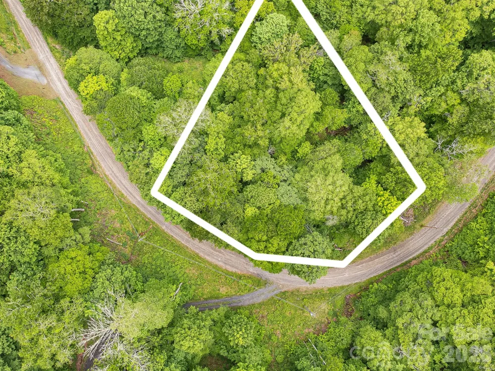 65 Bee Tree Lane Mars Hill, NC 28754