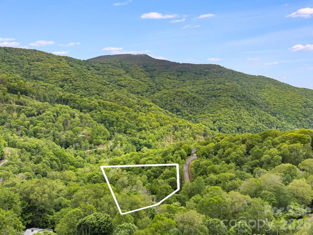 65 Bee Tree Lane Mars Hill, NC 28754
