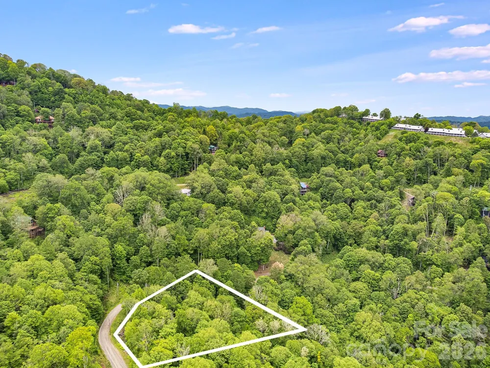 65 Bee Tree Lane Mars Hill, NC 28754