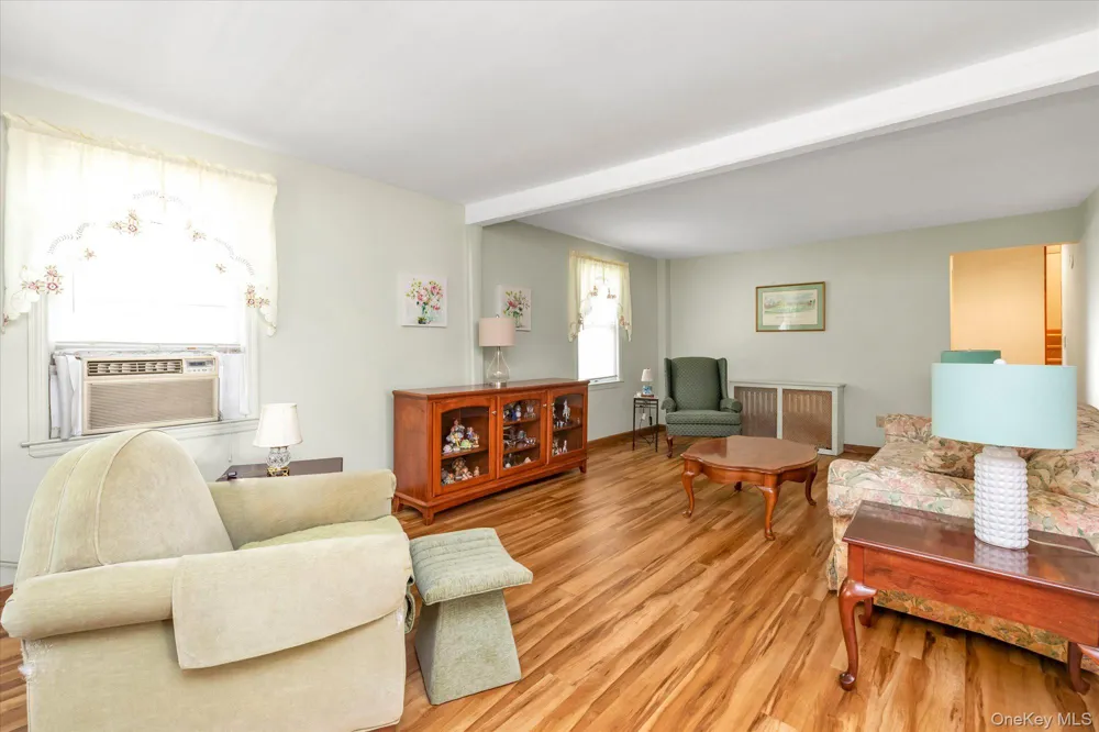 265 Schenck Avenue Great Neck, NY 11021