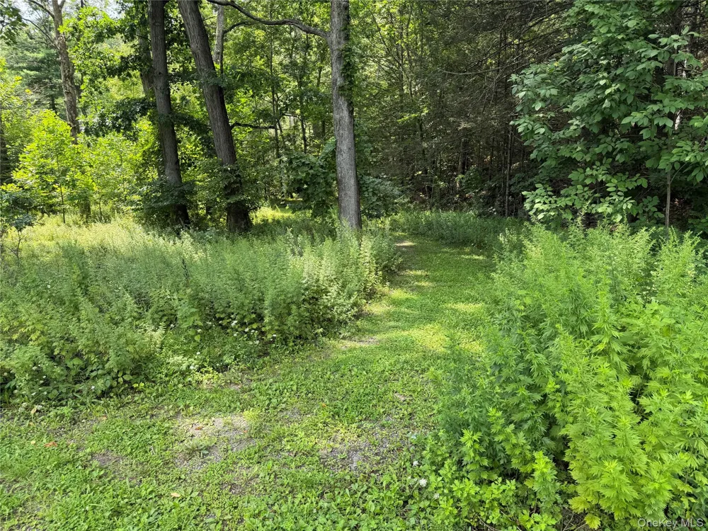 Route 209 Wawarsing, NY 12489
