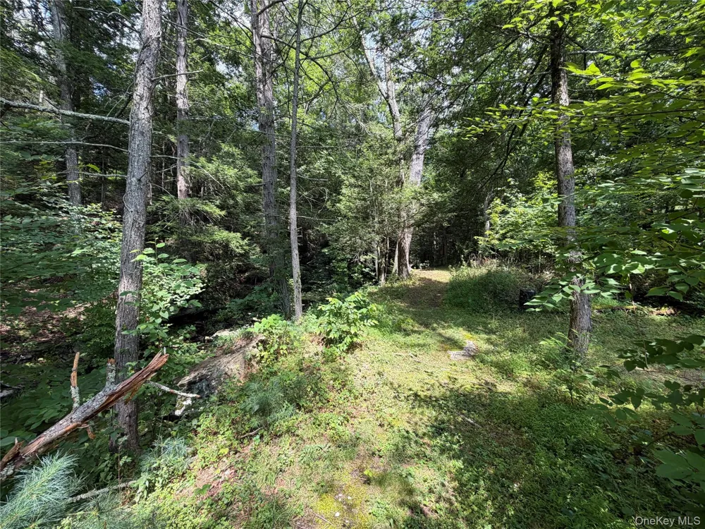 Route 209 Wawarsing, NY 12489