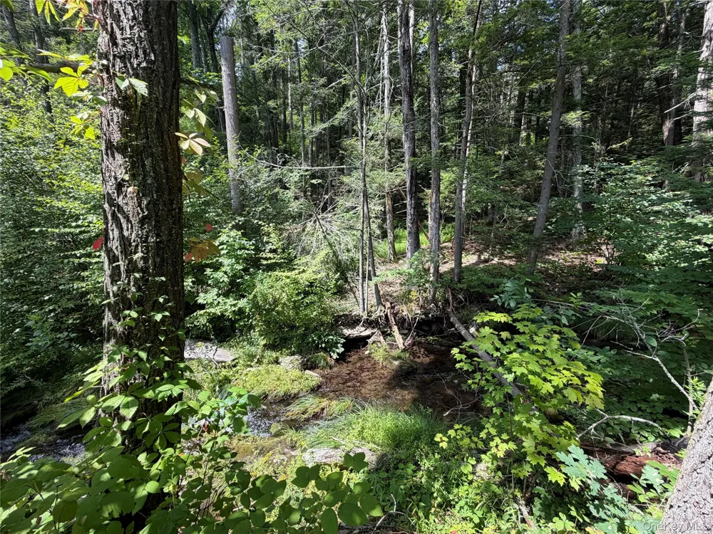 Route 209 Wawarsing, NY 12489