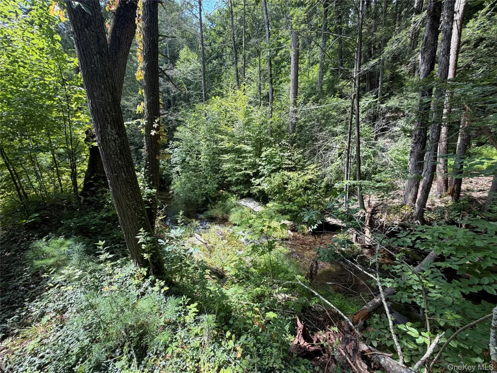 Route 209 Wawarsing, NY 12489