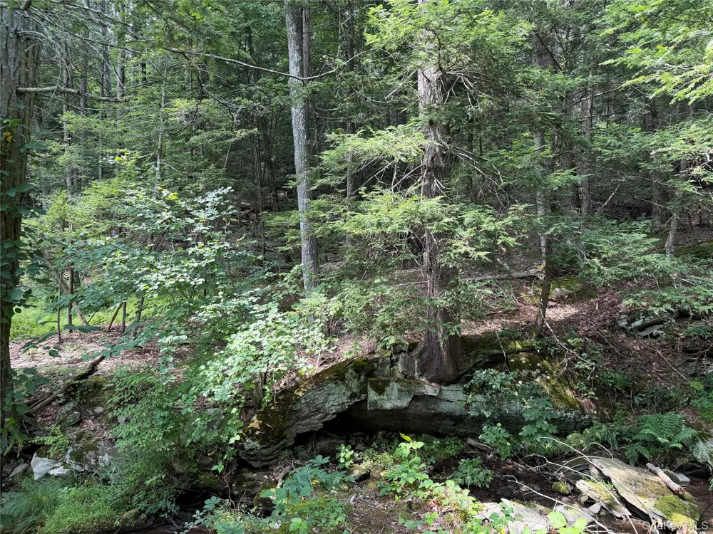 Route 209 Wawarsing, NY 12489