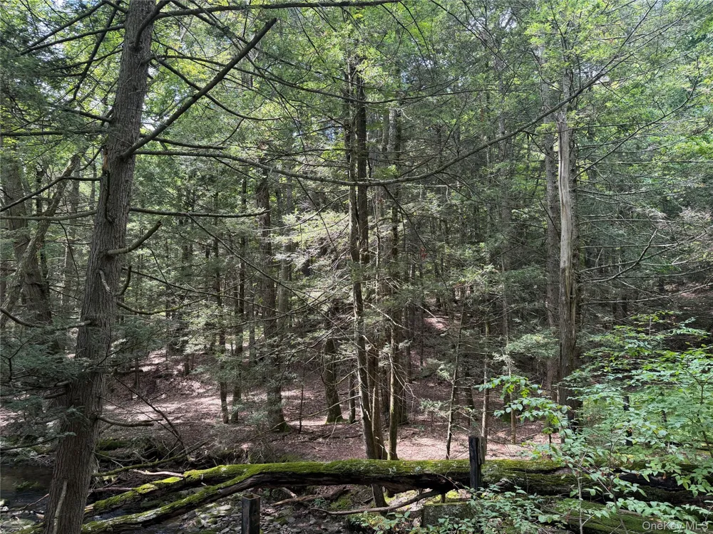 Route 209 Wawarsing, NY 12489