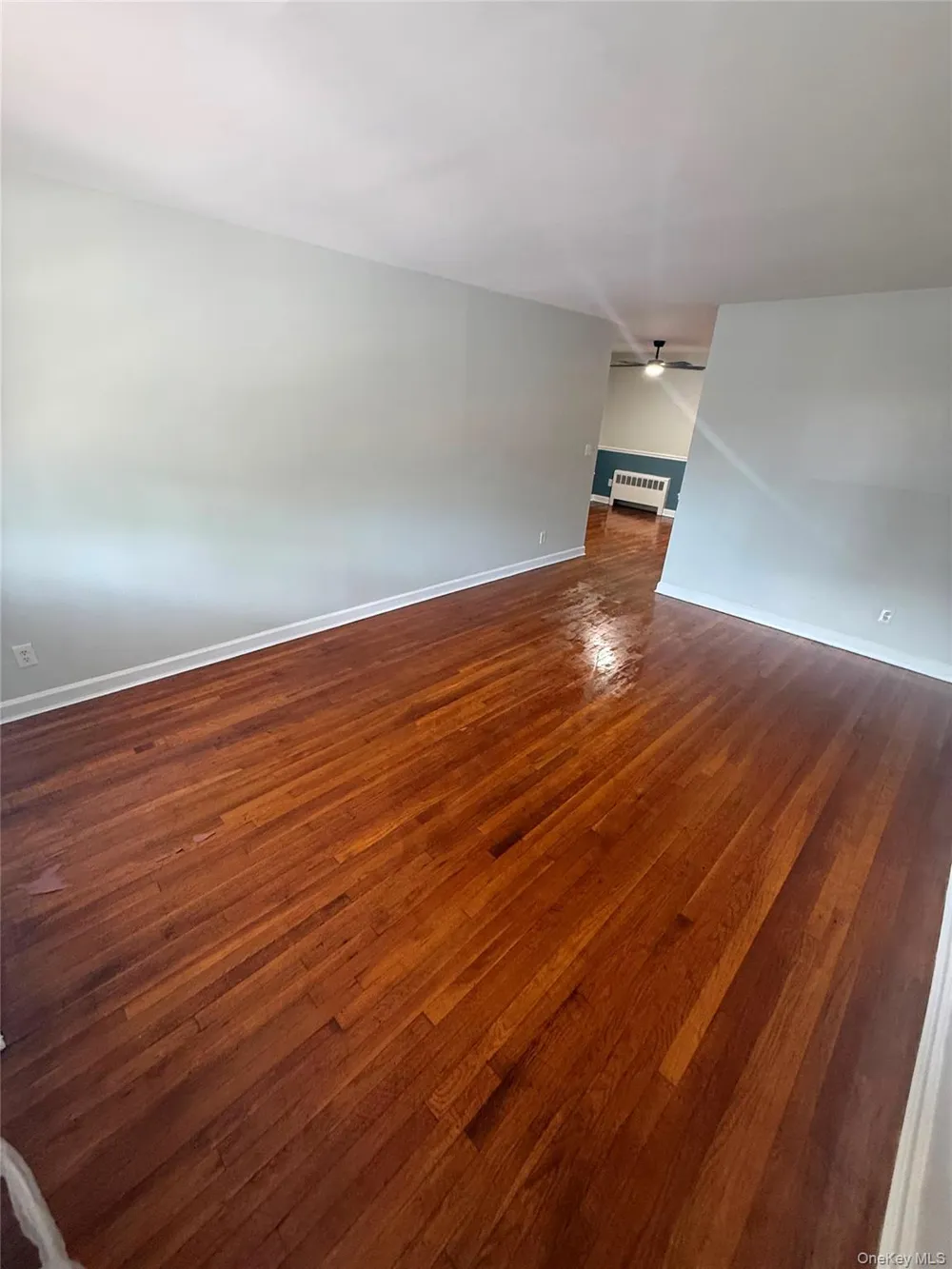 739 Adee Avenue #1 Bronx, NY 10467
