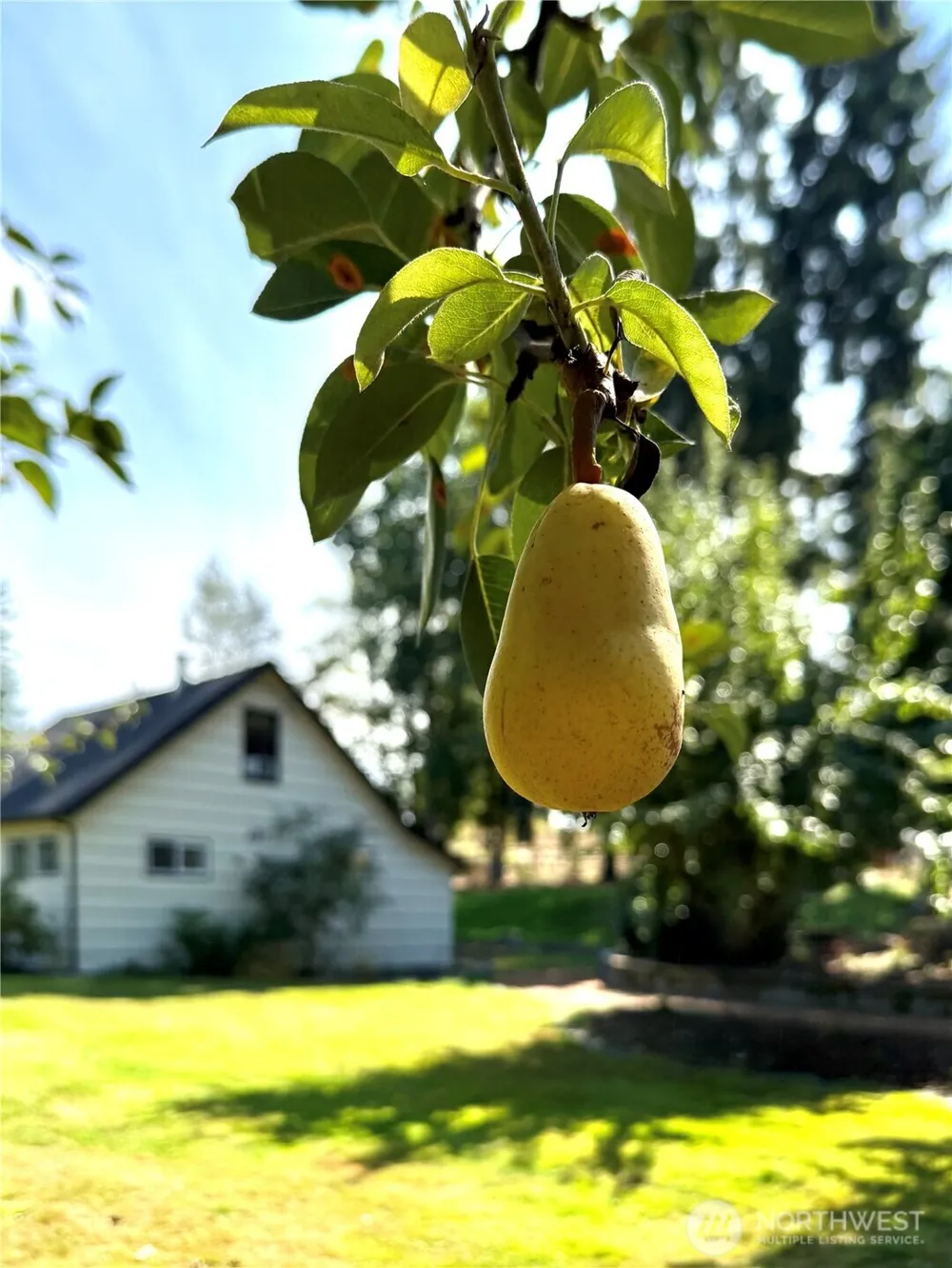 23425 SE 440th Street Enumclaw, WA 98022