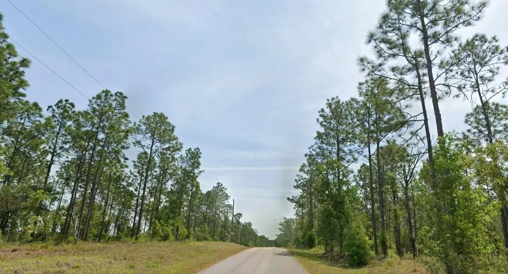 23949 NW FALCON AVENUE Dunnellon, FL 34431