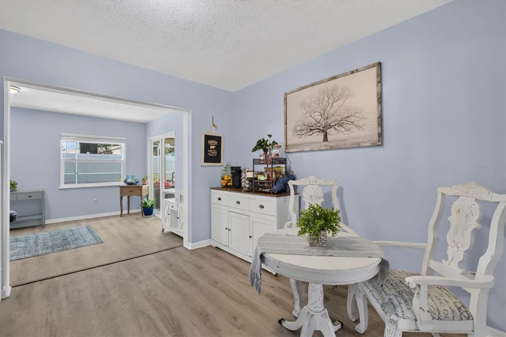 508 COCOPLUM DRIVE Seffner, FL 33584