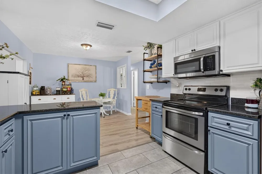 508 COCOPLUM DRIVE Seffner, FL 33584