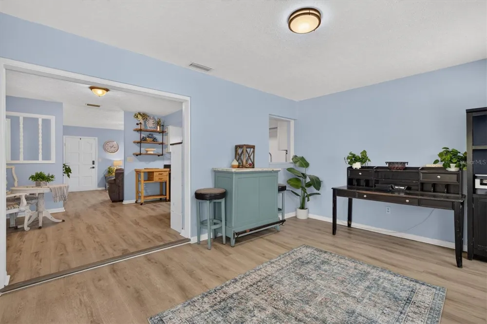 508 COCOPLUM DRIVE Seffner, FL 33584