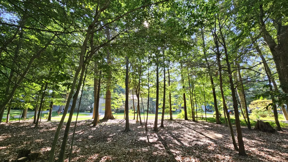 Marquette Avenue Holland, MI 49424