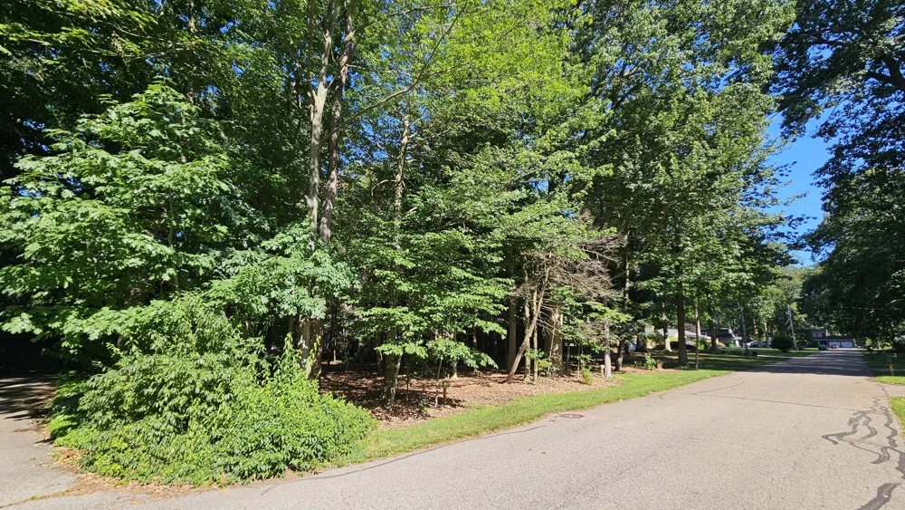 Marquette Avenue Holland, MI 49424
