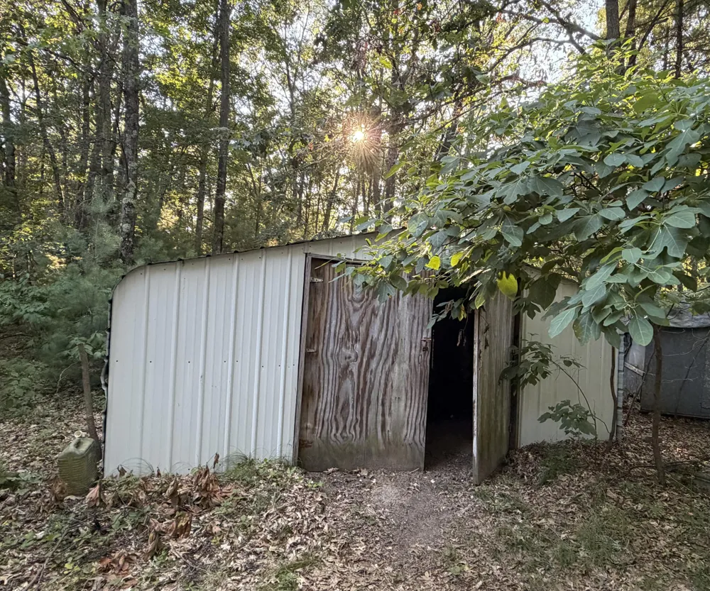 8463 Gibson Road Whitehall, MI 49461
