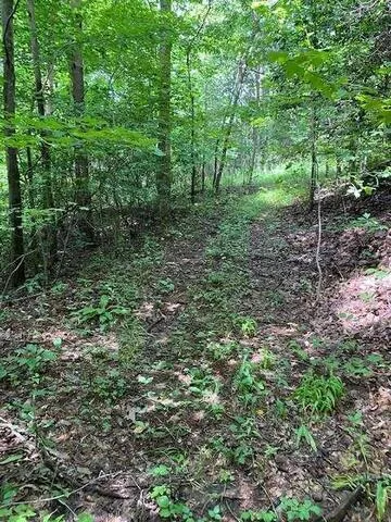 00 Seven Springs Road Jasper, GA 30175