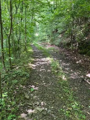 00 Seven Springs Road Jasper, GA 30175