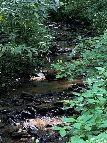 00 Seven Springs Road Jasper, GA 30175