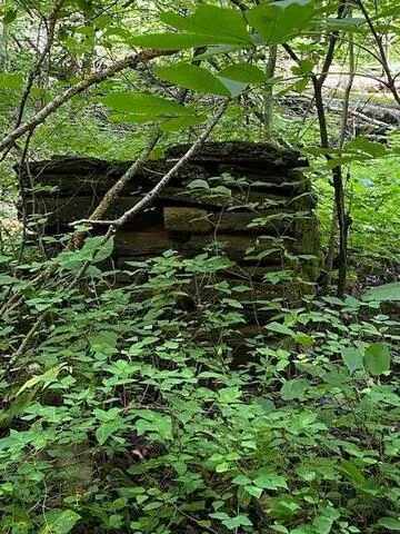 00 Seven Springs Road Jasper, GA 30175