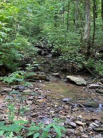 00 Seven Springs Road Jasper, GA 30175