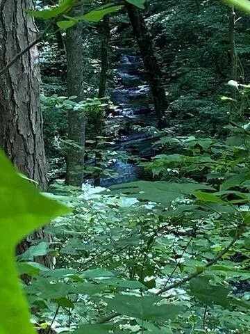 00 Seven Springs Road Jasper, GA 30175