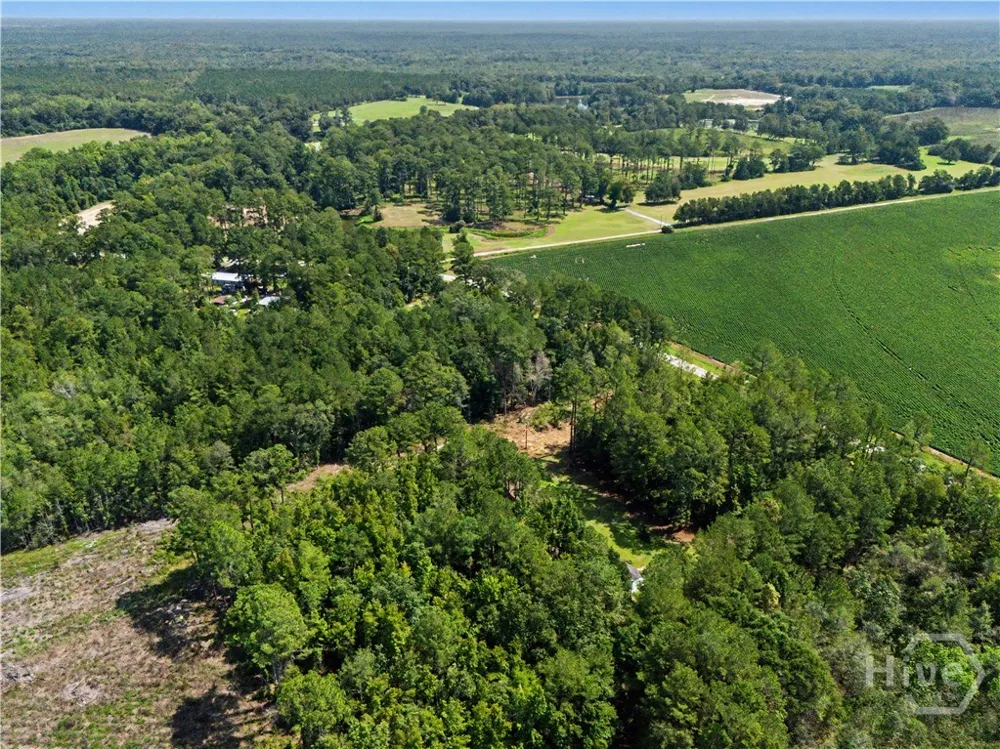 729 Reedsville Road Clyo, GA 31303