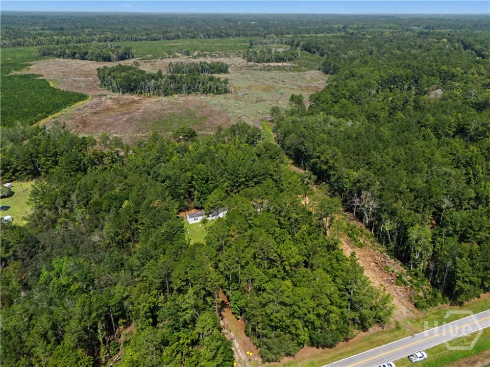 729 Reedsville Road Clyo, GA 31303