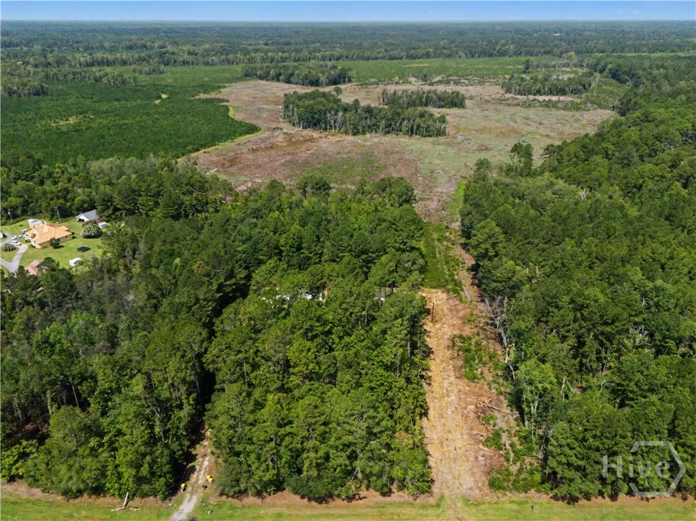 729 Reedsville Road Clyo, GA 31303