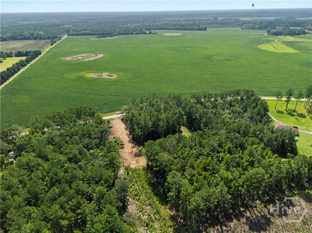 729 Reedsville Road Clyo, GA 31303