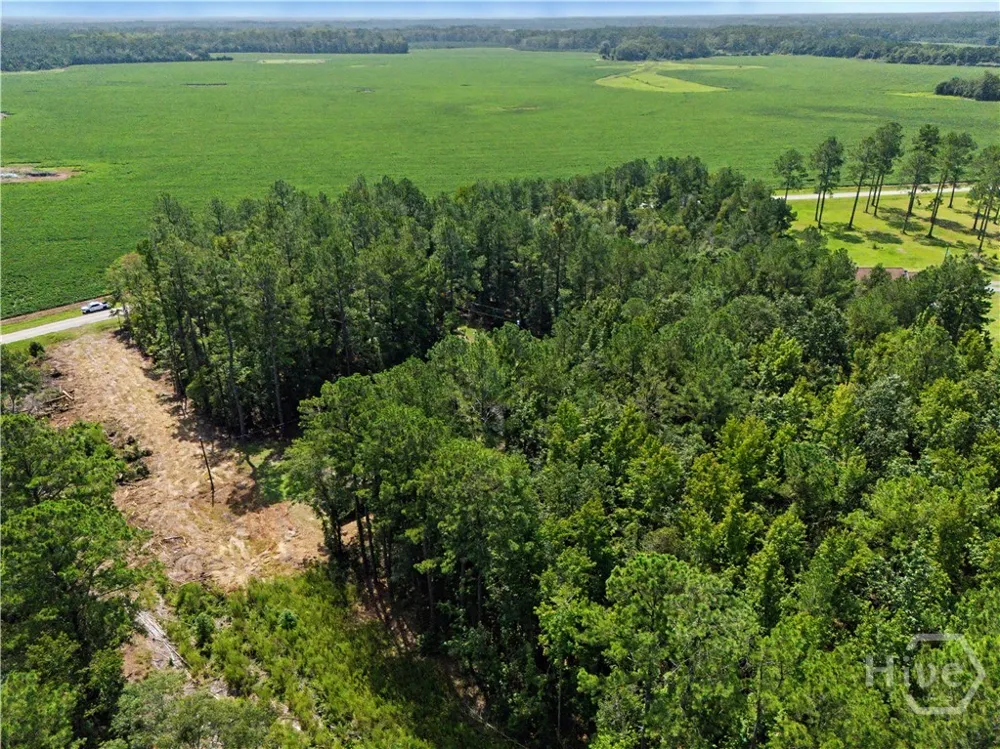 729 Reedsville Road Clyo, GA 31303