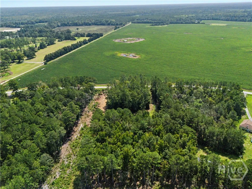 729 Reedsville Road Clyo, GA 31303