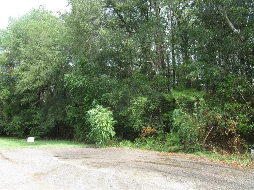 9 Stephens Forest New Caney, TX 77357