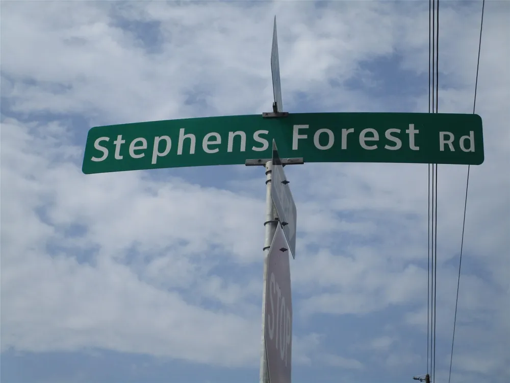 9 Stephens Forest New Caney, TX 77357