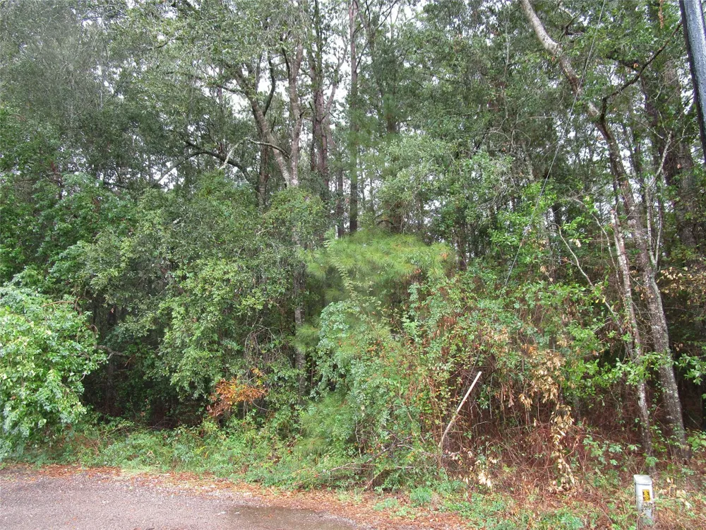 9 Stephens Forest New Caney, TX 77357