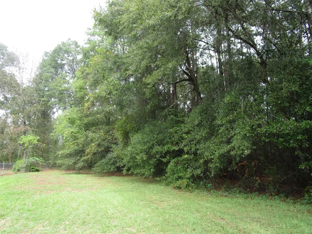 9 Stephens Forest New Caney, TX 77357