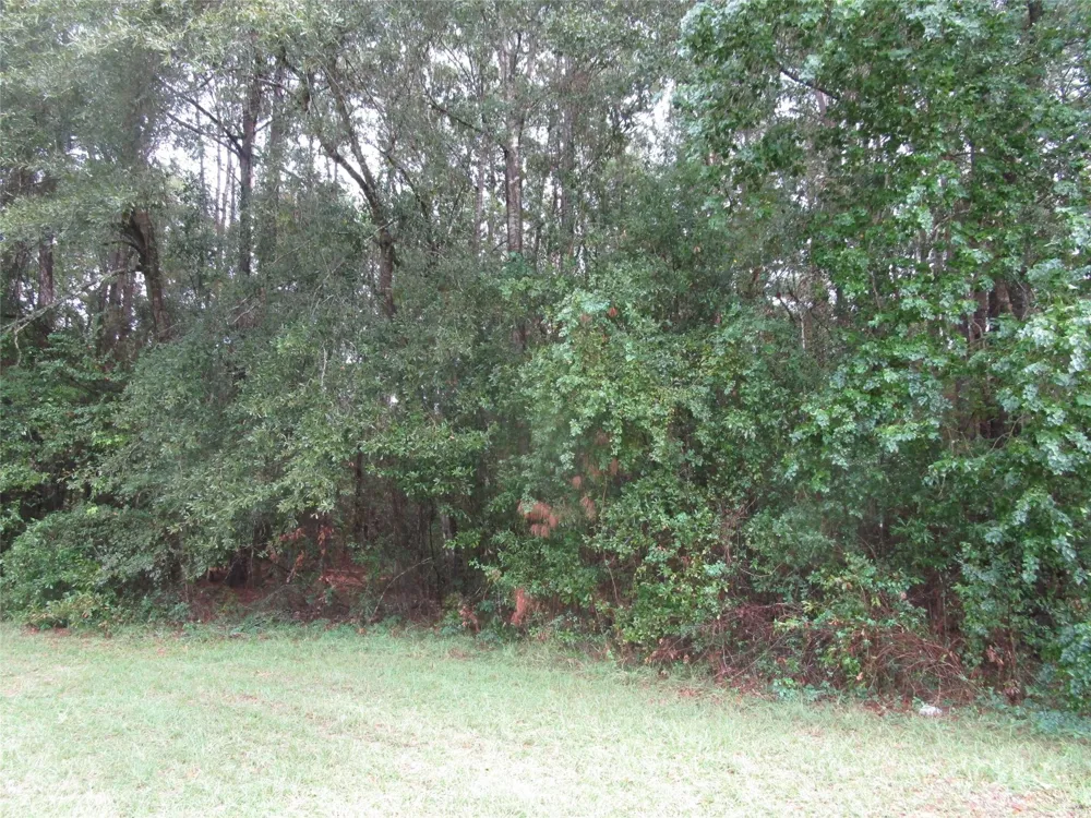 9 Stephens Forest New Caney, TX 77357