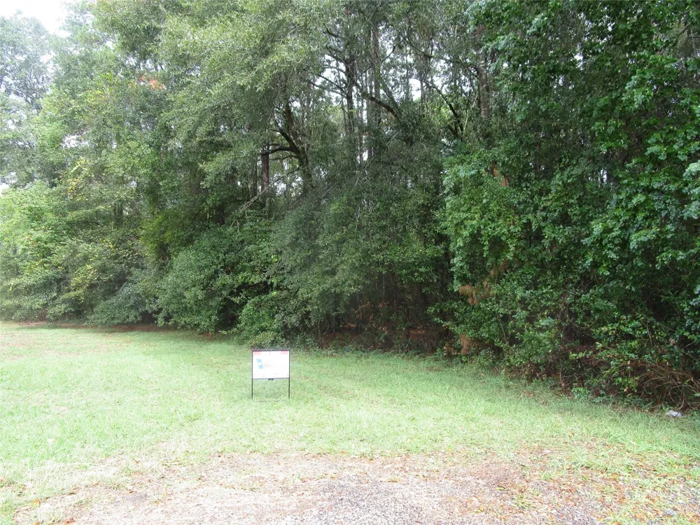 9 Stephens Forest New Caney, TX 77357