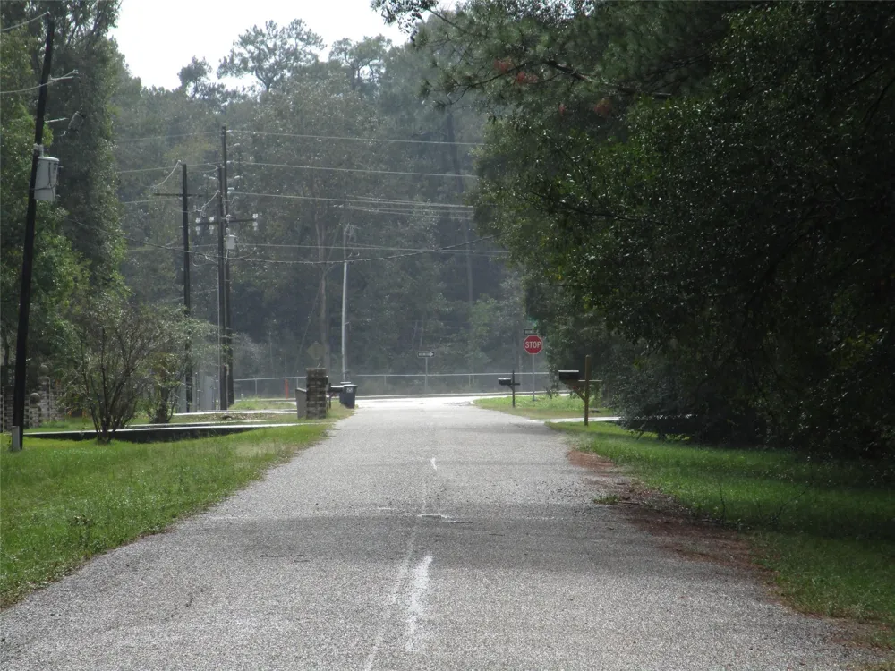 9 Stephens Forest New Caney, TX 77357