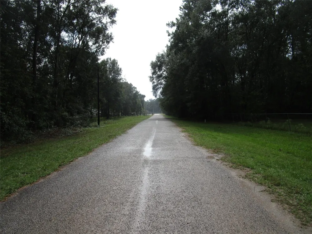 9 Stephens Forest New Caney, TX 77357