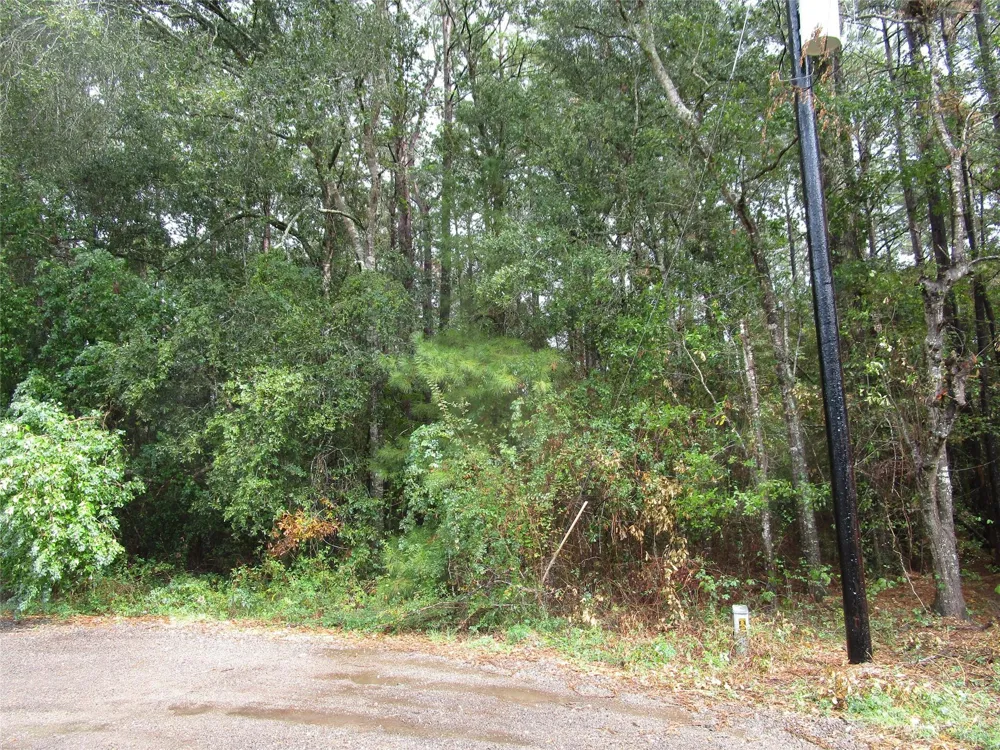 9 Stephens Forest New Caney, TX 77357