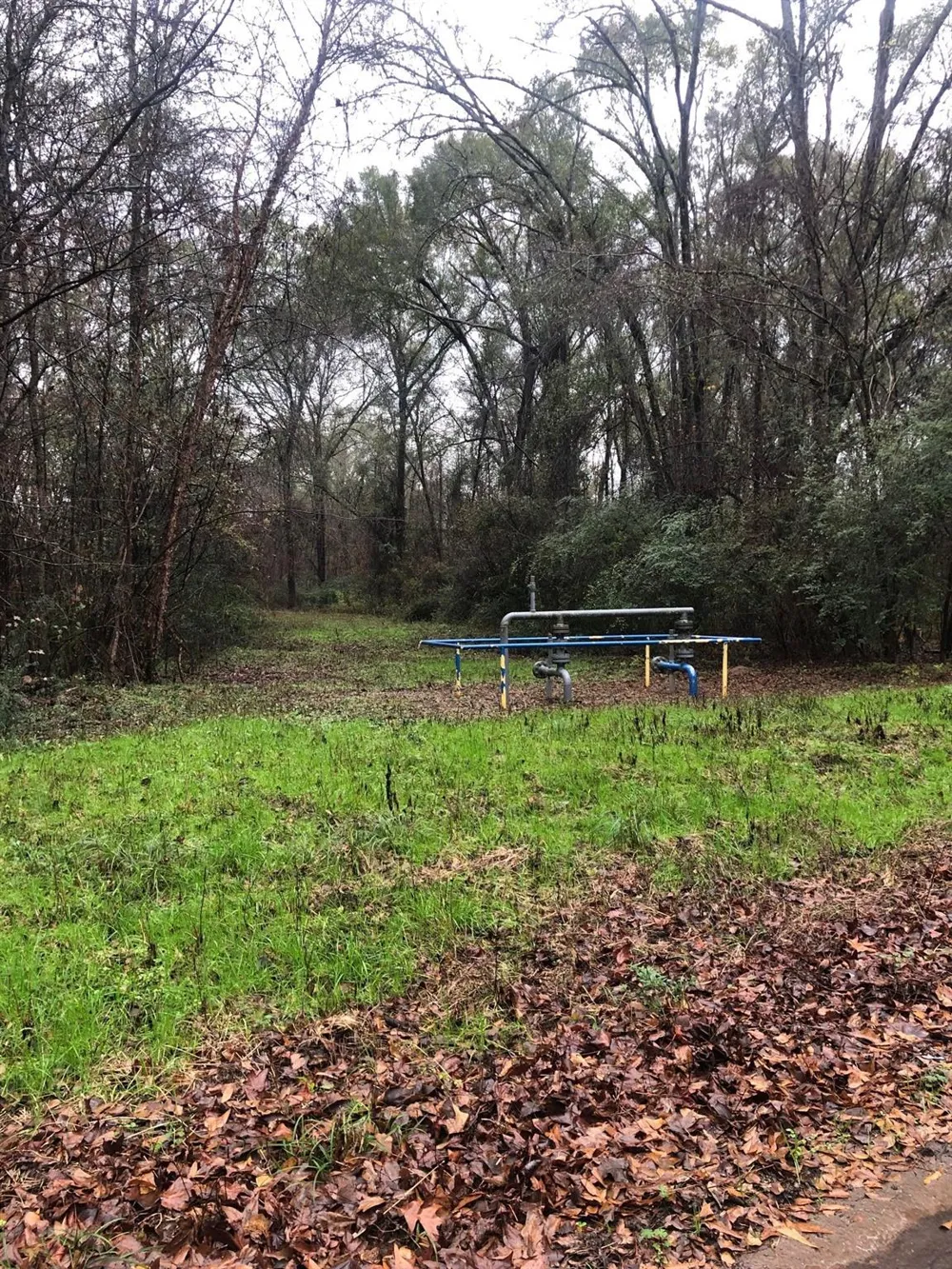 20894 Franklin Drive Troup, TX 75789