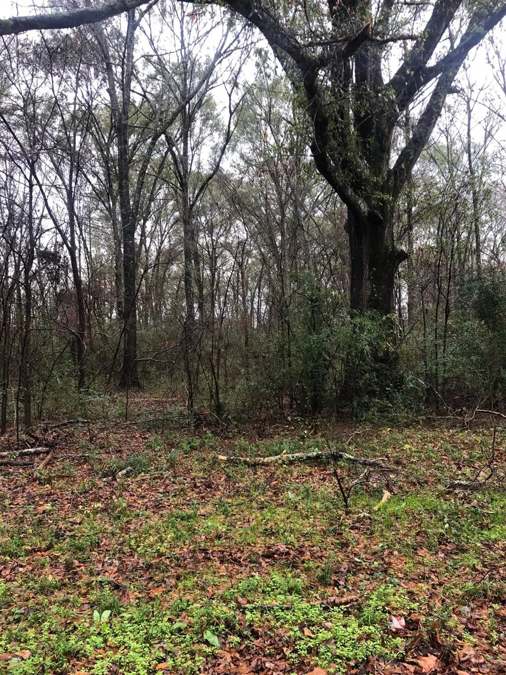 20894 Franklin Drive Troup, TX 75789