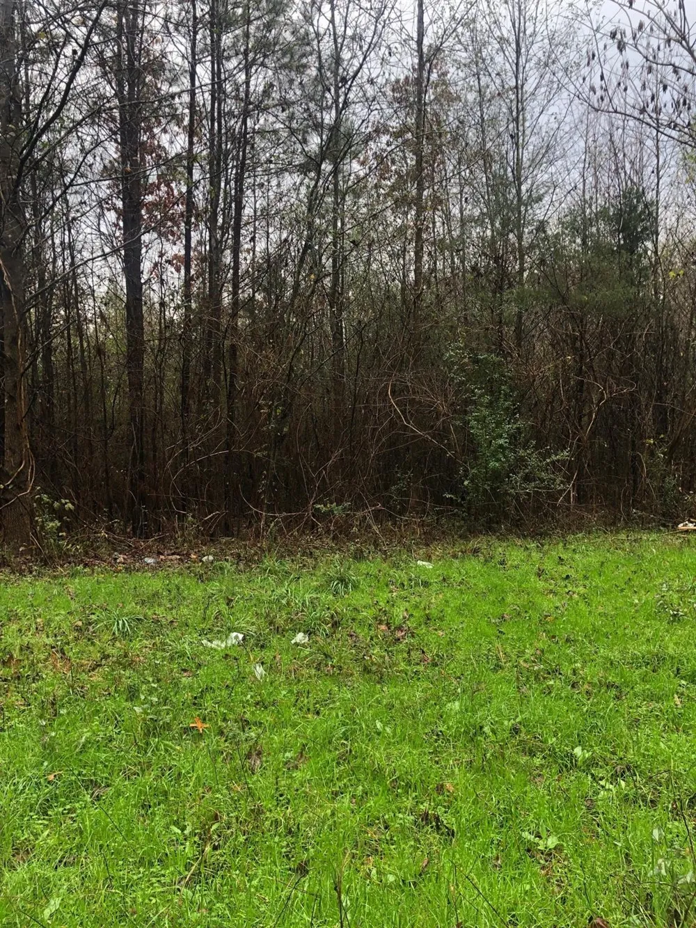 20894 Franklin Drive Troup, TX 75789