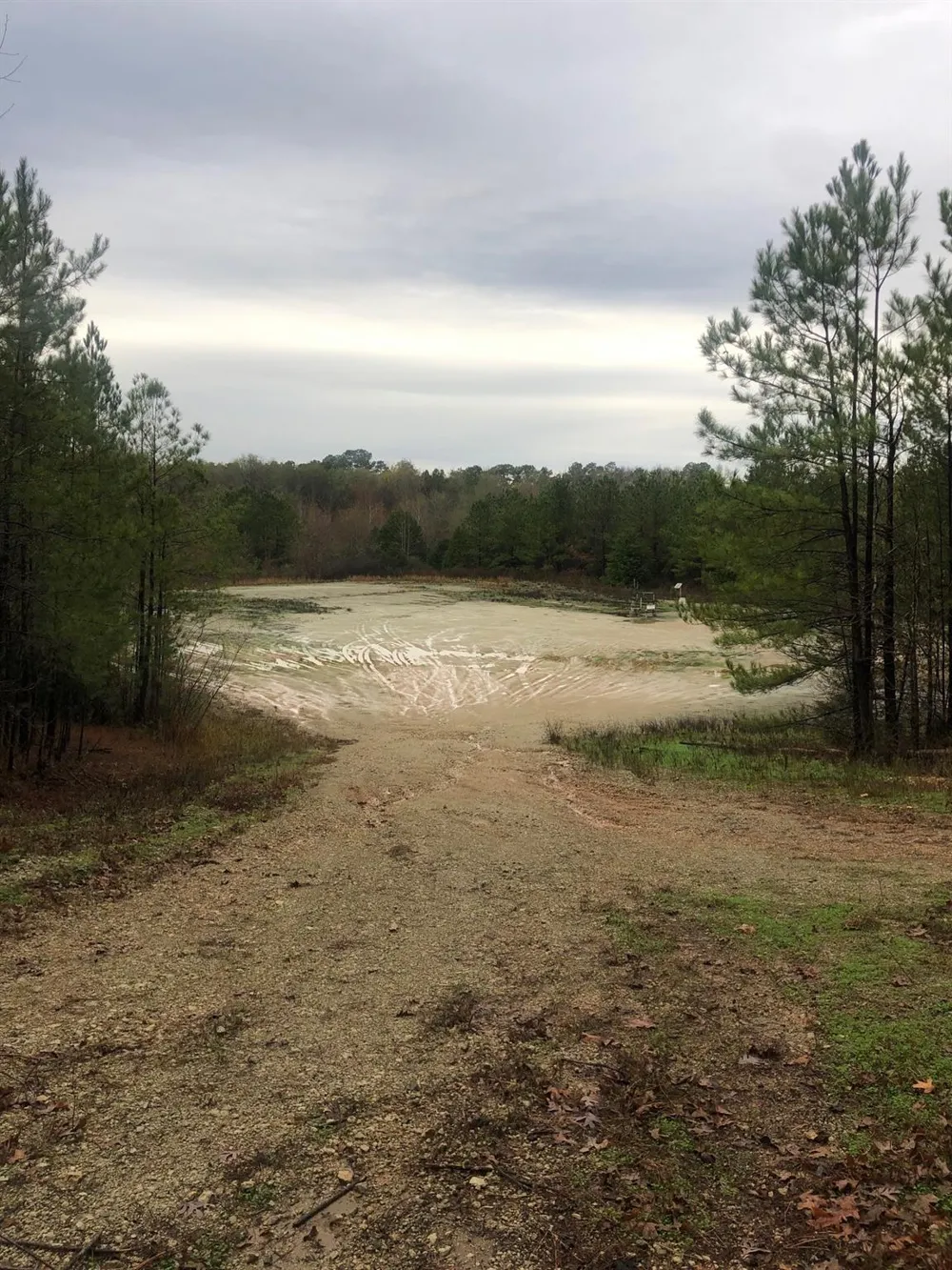 20894 Franklin Drive Troup, TX 75789