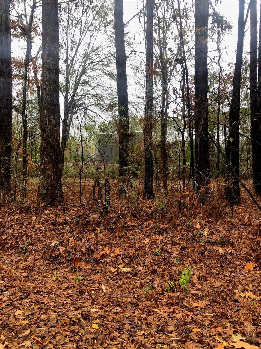 20894 Franklin Drive Troup, TX 75789