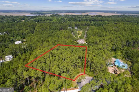 116 Wild Horse CT