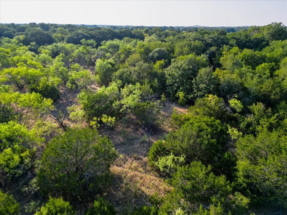 Bounty Road Perrin, TX 76846