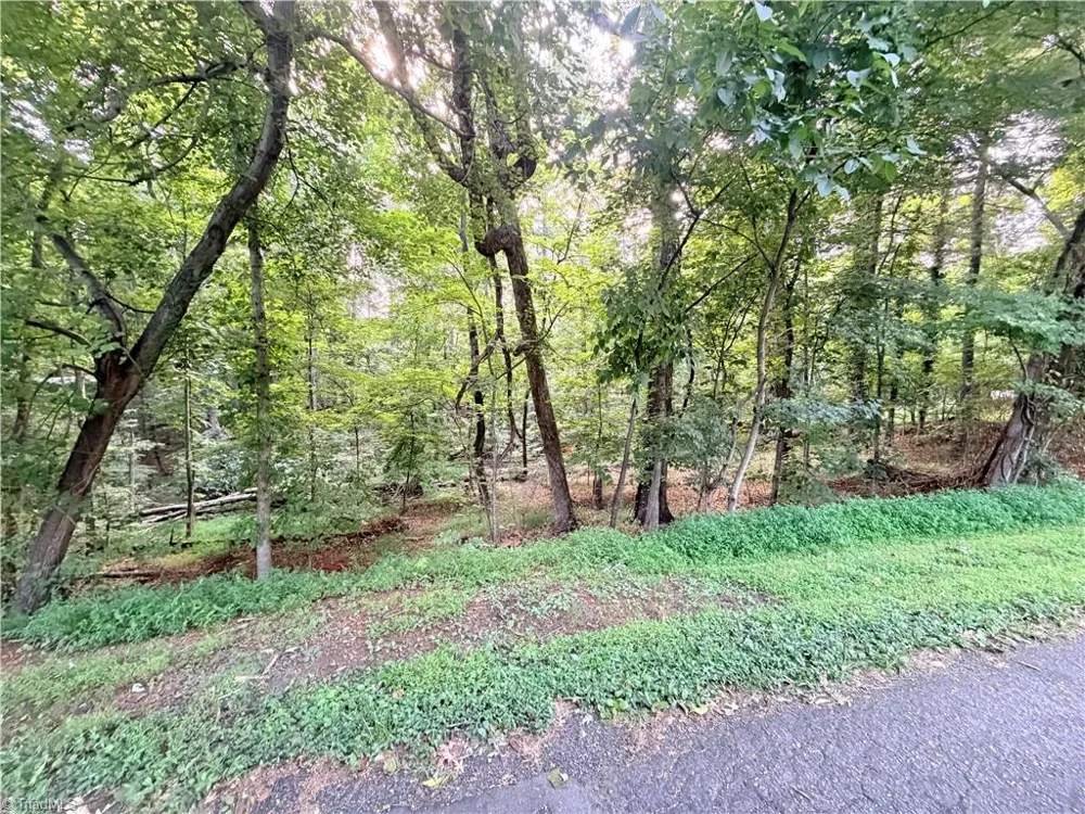 TBD Woodland Drive Elkin, NC 28621