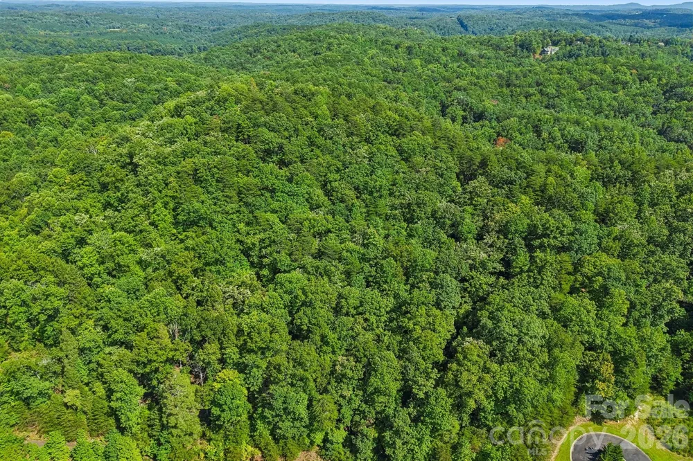 35 Mountain Parkway Mill Spring, NC 28756
