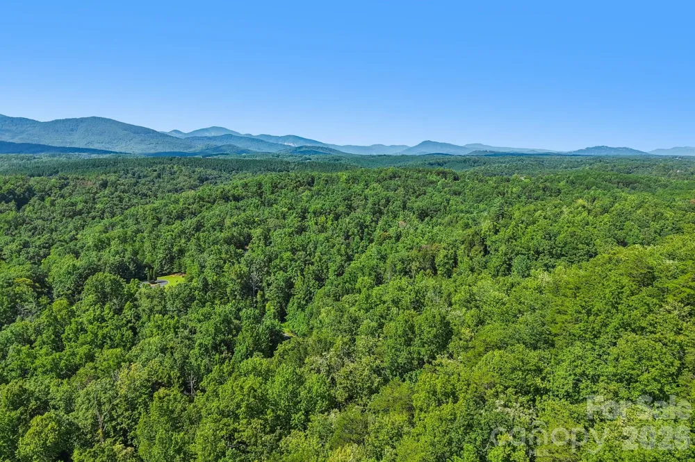 35 Mountain Parkway Mill Spring, NC 28756